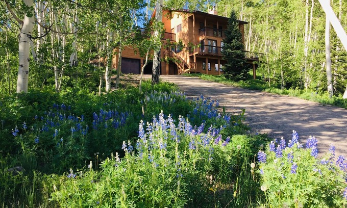 Crested Butte Apartment | Mountain Modern- NEW- Wildflowers, backs up to Snodgrass Trail & VIEWS of Mt CB