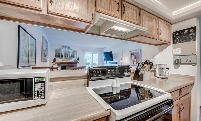 Frisco Condo | Mountainside 229e 1 Bedroom Condo by RedAwning