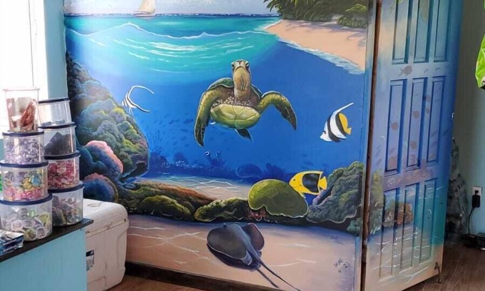 San Pedro Cottage | Mr. Ed's Adventures Belize