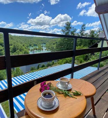 Generalski Stol Apartment | Mrežnica - Zelena oaza I