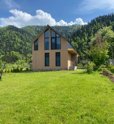 Likani Apartment | MTA house - Borjomi