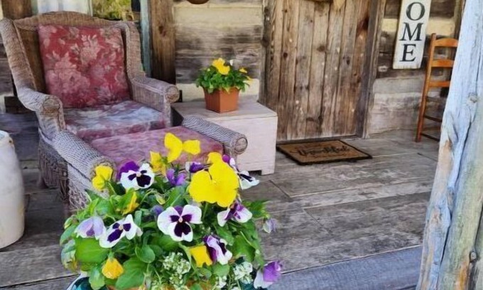 Berry Cabin | Mullins Log Cabin 1850s rustic cabin near Ark Sits on 5 acn15 min to ARKnnnn