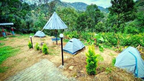 Rajakkad House | Munnar Tent & Rooms