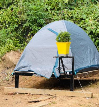 Munnar Other | Munnar Tents
