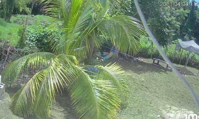 Negril Cabin | My Little Cabin In Negril 2 Bedroom Cabin by RedAwning