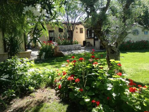 Palagiano Bed & Breakfast | MyLife B&B Country House