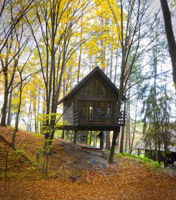 Kazimierz Dolny Apartment | Na Skraju Lasu Domek na Drzewie & Glamping