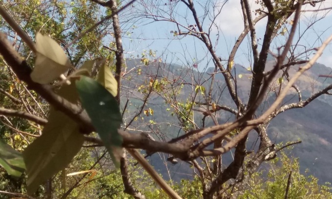 Madawala RV Rental | Nalanda Relaxation And Caping Site