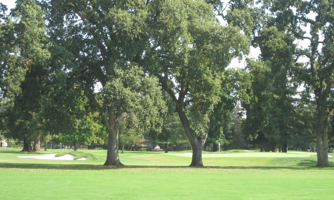 Napa Condo | Napa Charm on Silverado Course; Spa, hills, Wineries, great restaurants nearby