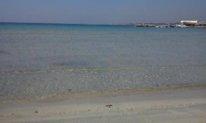Sant'Isidoro House | Nardo: Rent a wonderful villa close to a naturalistic park called "Porto Selvaggio"House with garden
