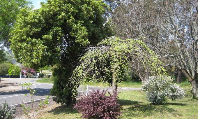 Whitfield House | Nathan's Place
