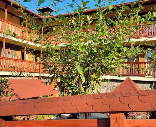 Baile Tusnad House | Natura Tusnad