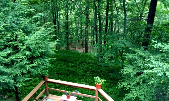 Garrison Apartment | Nature Lovers' Sanctuary Yet Close to Amenities