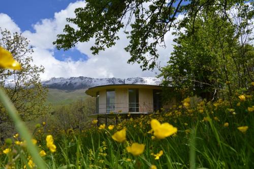 Kaputan House | Nature Rooms cabin