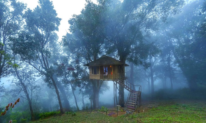 Nullatanni Hotel | Nature Zone Jungle Resort