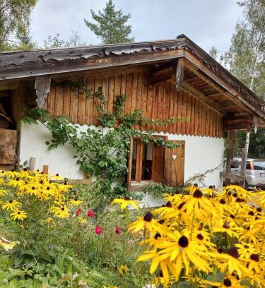 Steinberg am Rofan Apartment | Naturetouch
