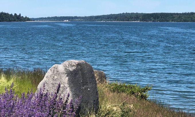 Kingston Cottage | nBeach Access Air Conditioned Modern Cottage At Gateway To Olympic National Park