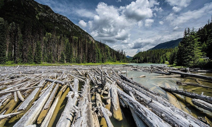 South Loop House | Near MSP Airport with Twin Cities links