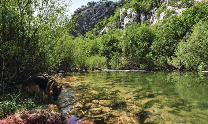 Srijane House | Near the river Cetina awaits you this practical cottage with vegetable garden.