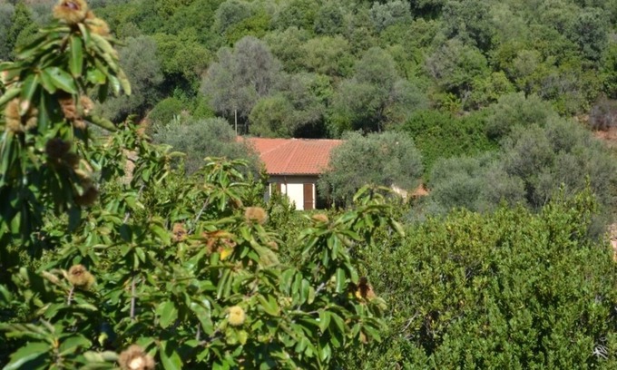 Iglesias House | Nestled in greenery