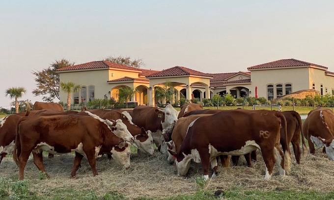 Hempstead Other | NEW Hacienda Ranch W/Resort Style Pool