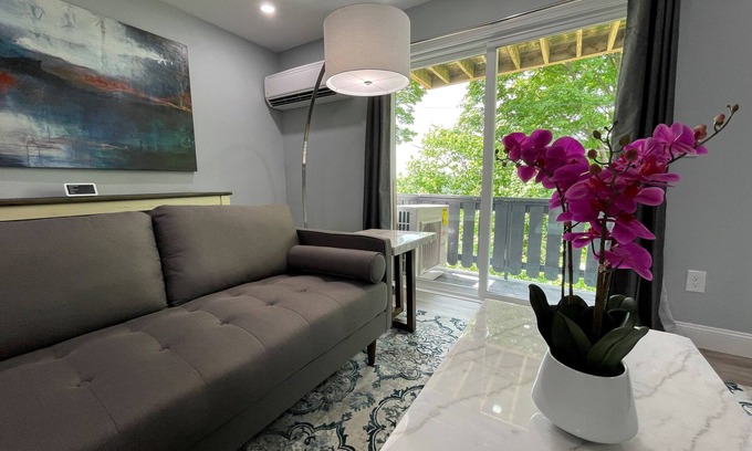 Worcester Apartment | New, Modern 2 BR Apartment near Hospitals | HBHS