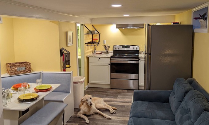 Gansevoort Apartment | NEW! The Birds Nest - No Clean Fee, Pets, WIFI, Coffee & Tea, TV