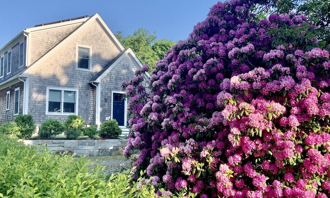 Vineyard Haven House | Newly built house, Central A/C, Walk to ferry, beach, and town