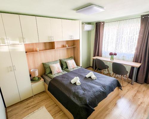 Sfantu Gheorghe Apartment | NextSpace Nr 20