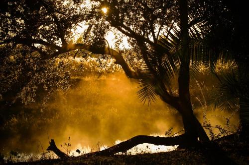 Zambezi Region Other | Ngulu Island Sanctuary