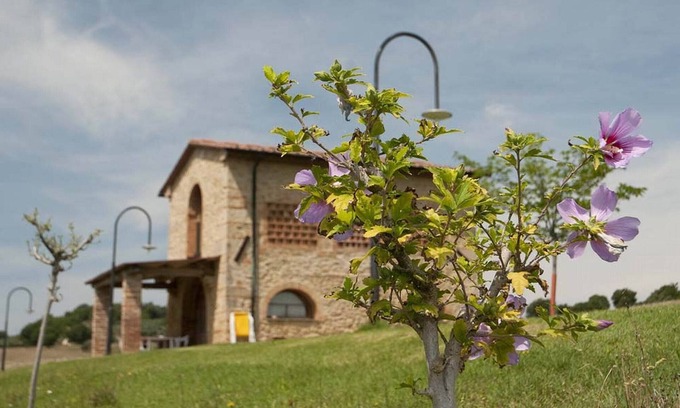 Pomarance Apartment | Nice cottage, private terrace with pool view,quiet location,shared heated pool