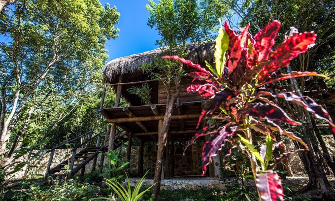 Macario Gomez Bed & Breakfast | Nice wood cabin in the Mayan jungle