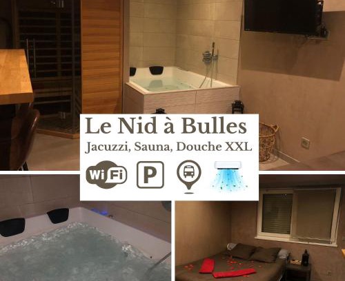 Bischheim Apartment | Nid à bulles - Loft 35m2 sauna jacuzzi 10min centre Strasbourg