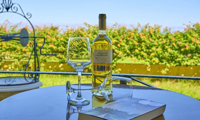 Apraos Apartment | Nikos Kalamaki Corfu Studio 6