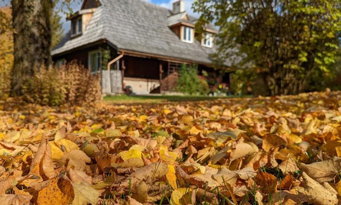 Dwernik Bed & Breakfast | Noclegi U Lestka