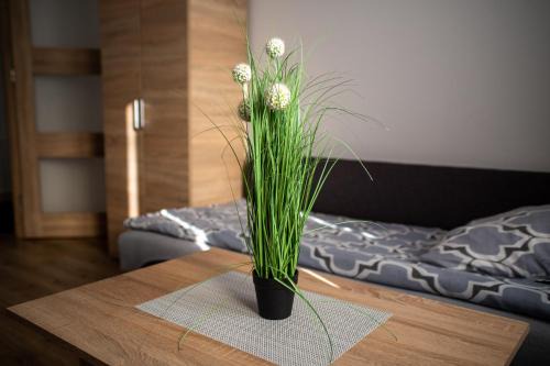 gmina Janowiec Wielkopolski Apartment | Noclegi u Moniki
