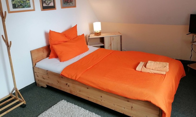 Blasewitz Apartment | Non smoking single room with garden view