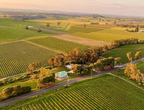 Lyndoch Bed & Breakfast | Norm's Vineyard Retreat