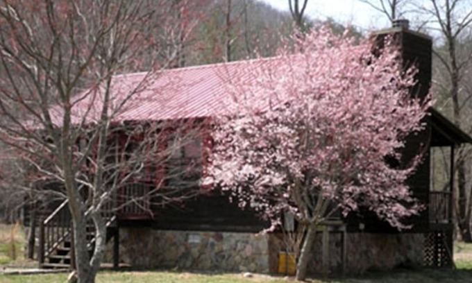 Choestoe Cabin | Nottely River Cabin- Fishing-Vogel St. ParknUnion County, GA STR License#004814