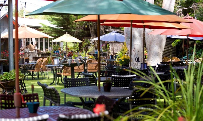Wallington Bed & Breakfast | Oakdene Vineyards Guesthouse
