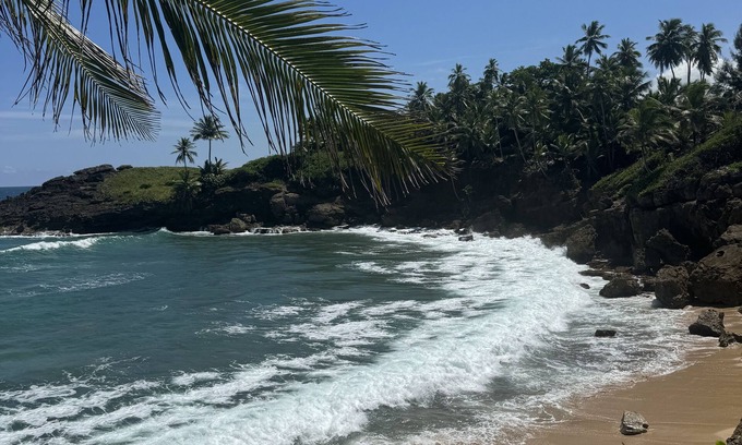 Cerro Gordo Apartment | Ocean Breeze Oasis: 1BR Getaway Near the Shore