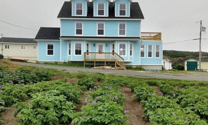Crow Head House | Ocean, Iceberg, Whale views!