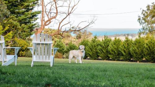 Red Hill South House | Ocean View House