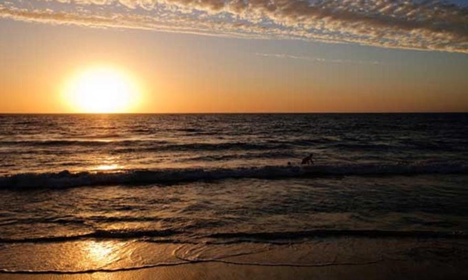North Beach Hotel | Ocean View Motel