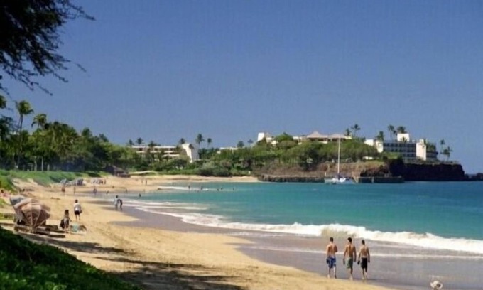 Kaanapali Villa | Ocean View-Upfront #277 Dolphin Bldg, Kaanapali Beach