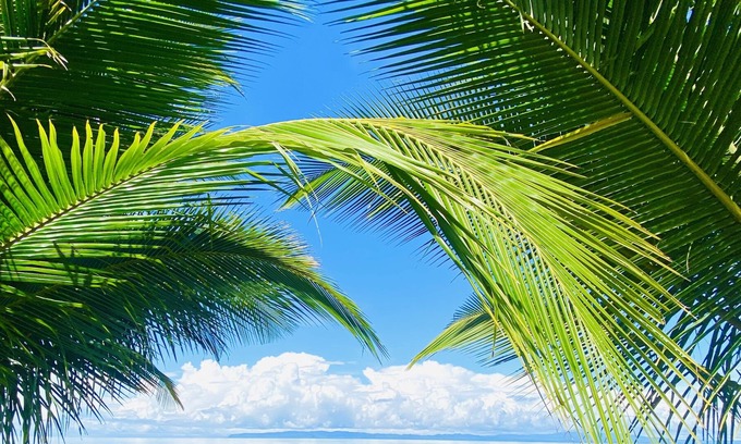 Playa Zancudo Villa | oceanfront oasis with private pool, AC- sleeps 14