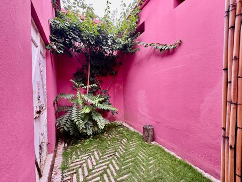 Centro Apartment | Ocho