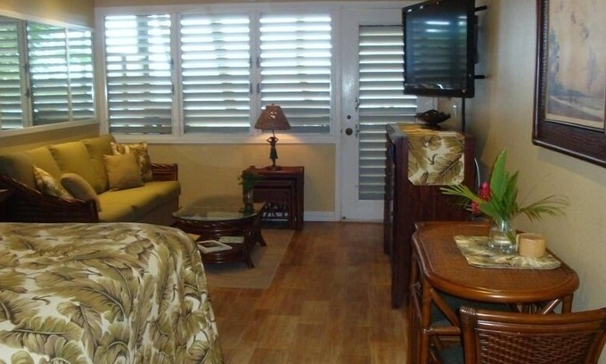 Napili Condo | Oct-Jan Discounted rates! Spectacular Oceanfront Studio Condo on Napili Bay,Maui