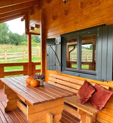 Polanica-Zdroj Ski Chalet | Okno na las