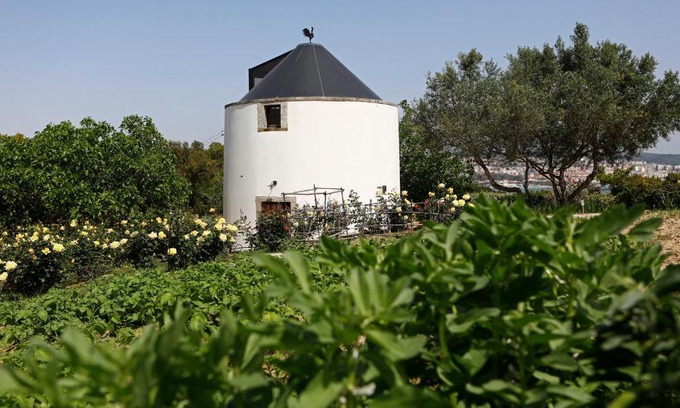 Caparica Bed & Breakfast | Olá Belém! Cozy Windmill, Stunning views to Lisboa